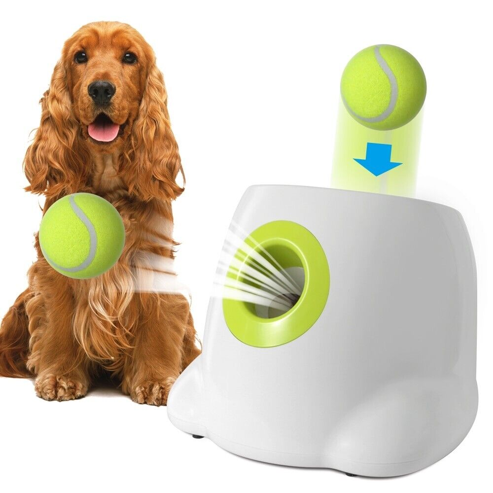 Engage Your Pet with Fun Interactive Toys