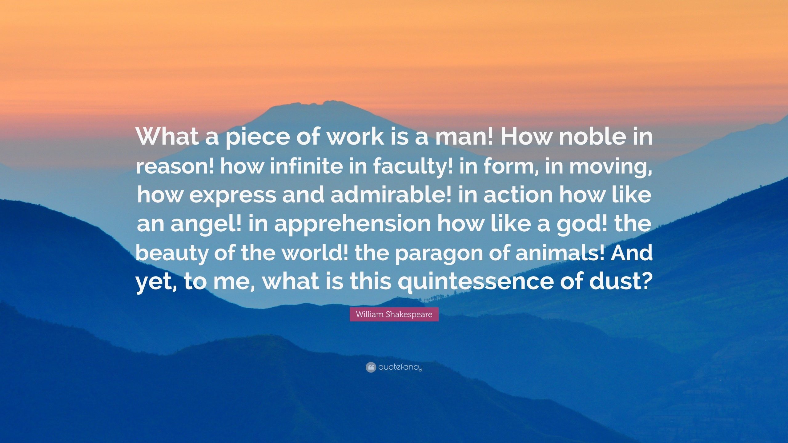 Understanding What A Piece Of Work Is Man: Exploring Humanity