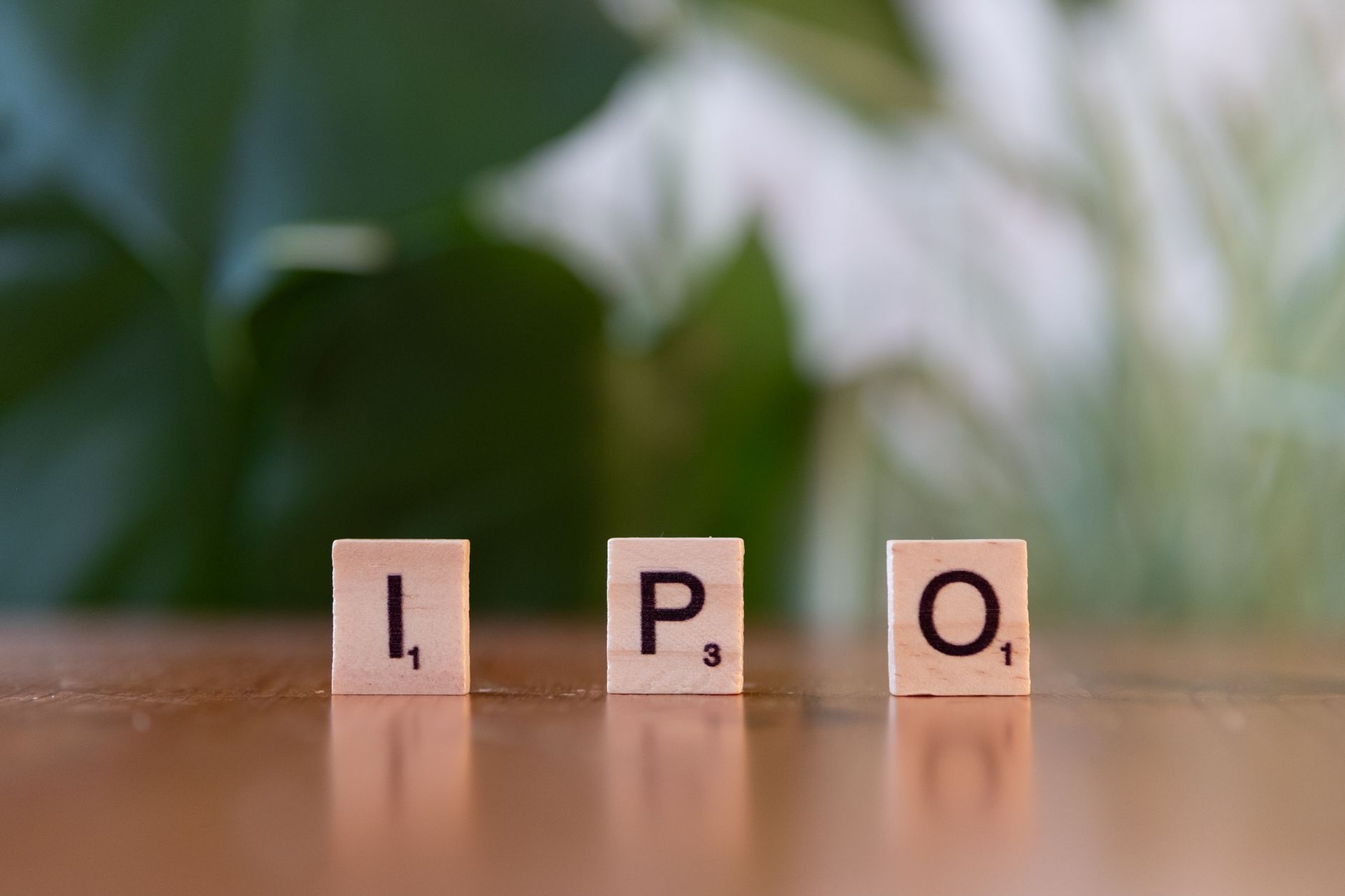 Is Black Opal Consultants IPO the Best Investment Opportunity?